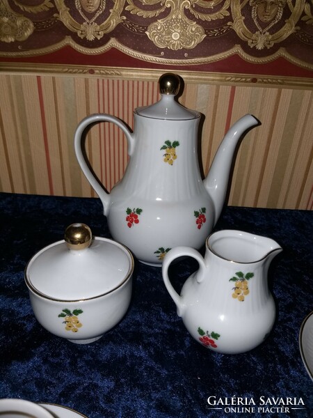 Henneberg German porcelain 6-person coffee set mocha set with currant pattern