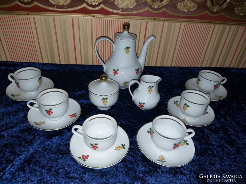 Henneberg German porcelain 6-person coffee set mocha set with currant pattern