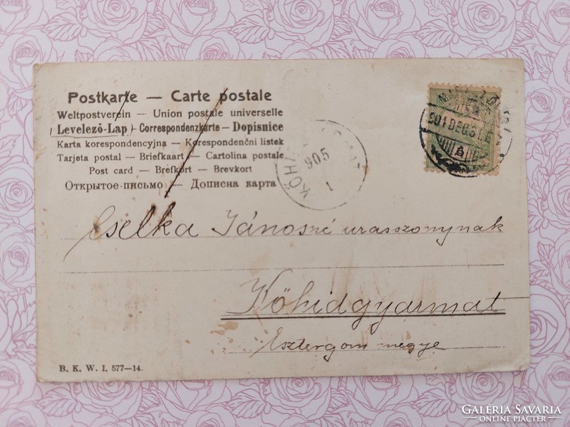 Régi képeslap 1905 virágos levelezőlap pipacs
