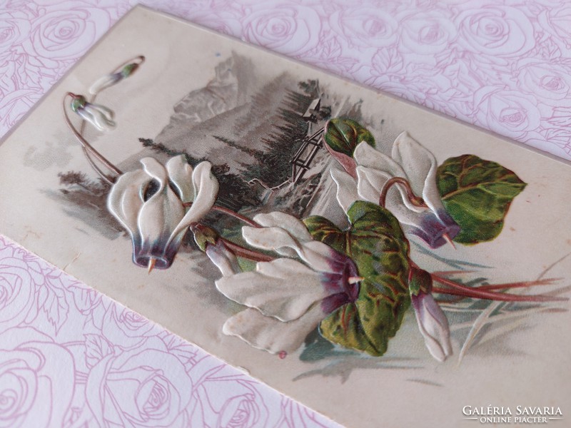 Régi képeslap 1906 dombornyomott virágos nyitható levelezőlap ciklámen