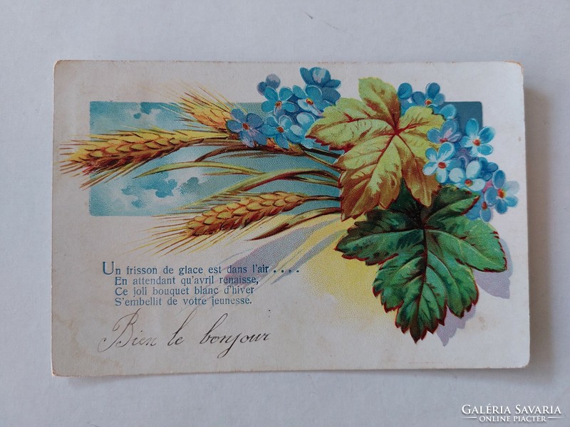 Old postcard postcard forget-me-not