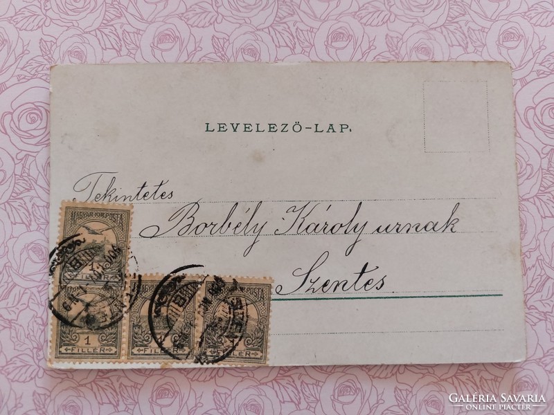 Régi virágos képeslap 1900 levelezőlap nefelejcs