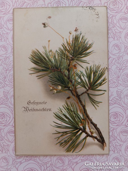 Old postcard postcard with pine branch mistletoe