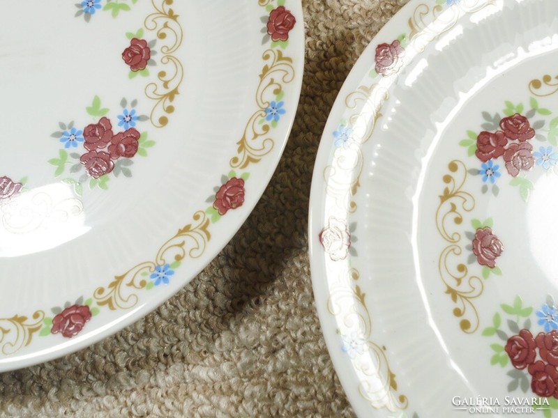 Retro porcelain wall bowl plate colditz GDR ndk East German 2 pieces with flower pattern