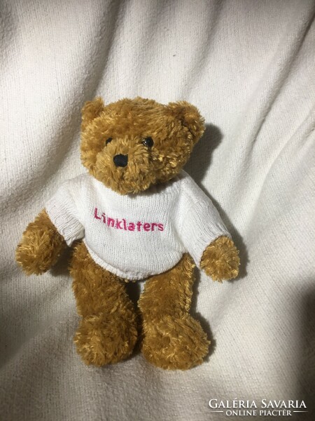 Cool, medium-brown teddy bear in a hoodie