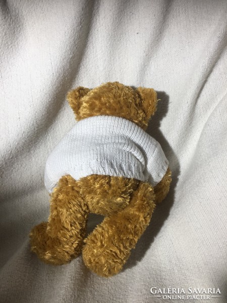 Cool, medium-brown teddy bear in a hoodie