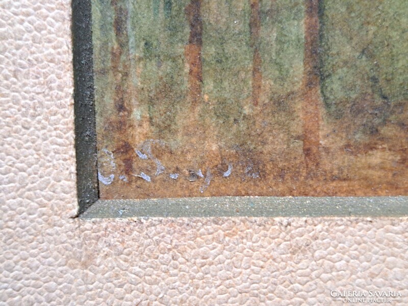 Hegyi utacska a vízesések mellett - akvarell, azonosítatlan jelzéssel