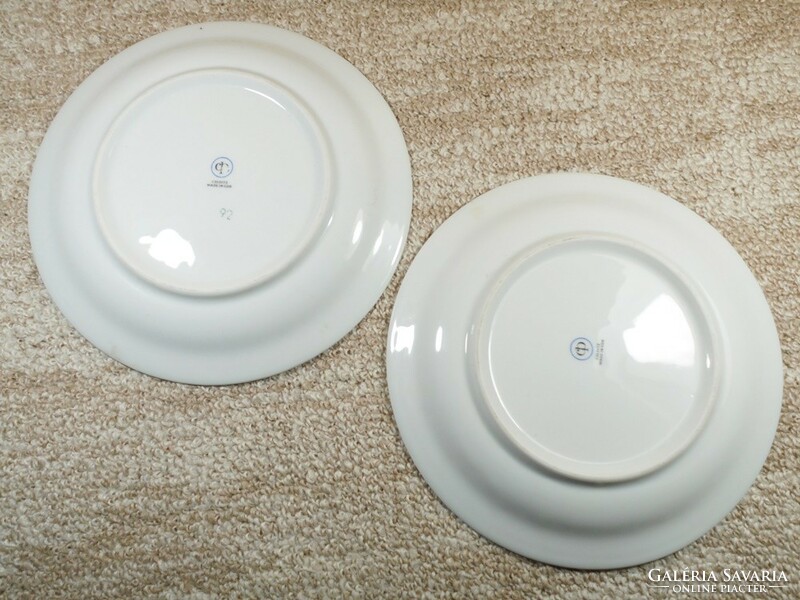 Retro porcelain wall bowl plate colditz GDR ndk East German 2 pieces with flower pattern