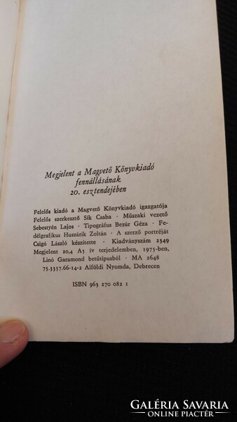 Ottlik Géza  Iskola a határon  - Magvető  Zsebkönyvtár sorozat 1975  - szépirodalom , könyv
