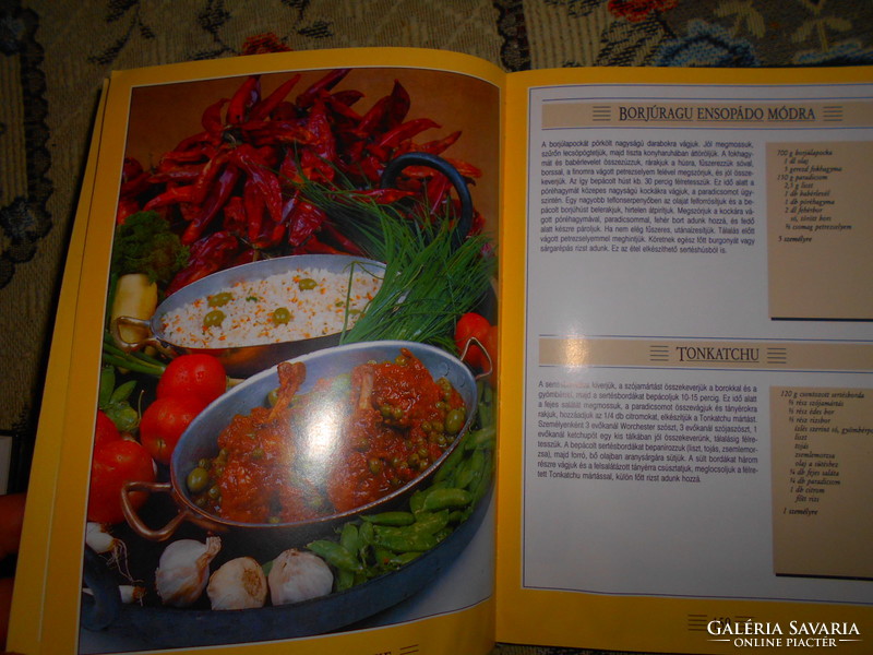 --- Cookbook - masterpieces of master chefs