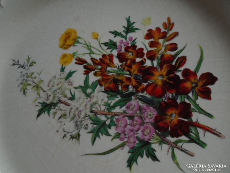 An extraordinarily beautiful floral bradex plate.