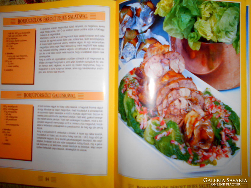 --- Cookbook - masterpieces of master chefs