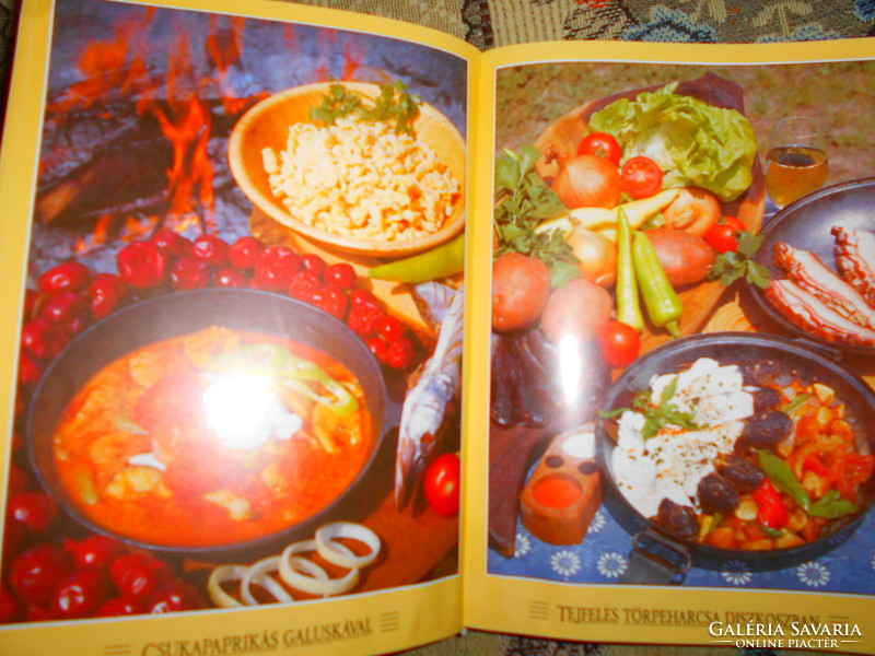 --- Cookbook - masterpieces of master chefs