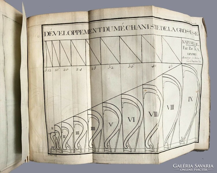 Orvosi könyv 1766-ból