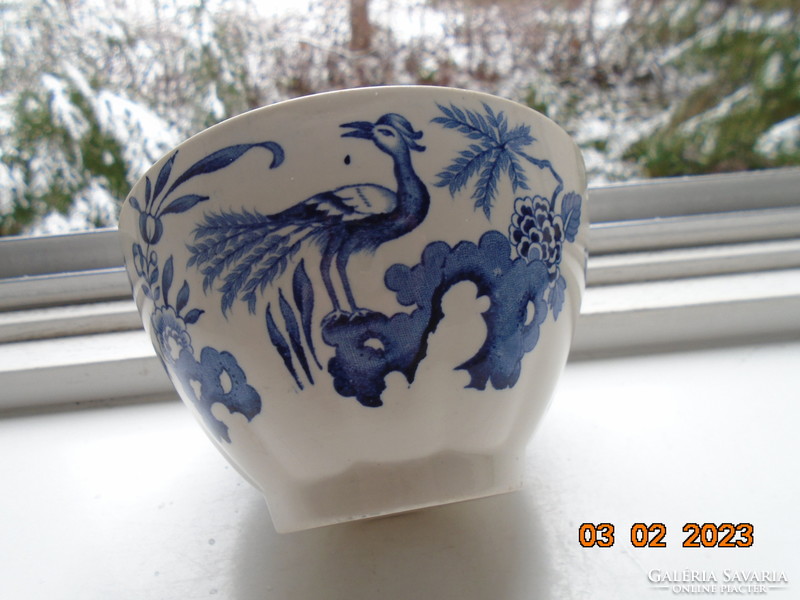 1916 Oriental blue and white peacock, leafy, numbered bowl from woods&sons with yuan pattern