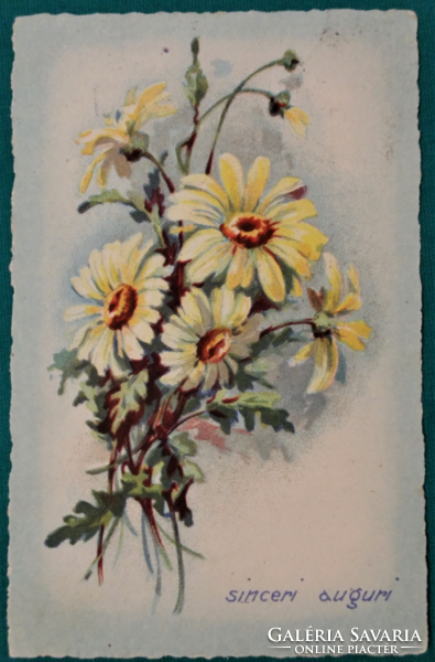 Régi üdvözlő virágos képeslap, margaréta, 1947