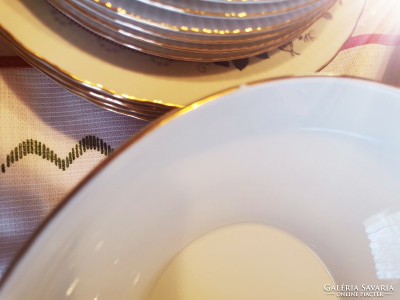 Ilmenau German porcelain tableware
