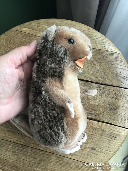 Old Steiff beaver, marked with ear buttons