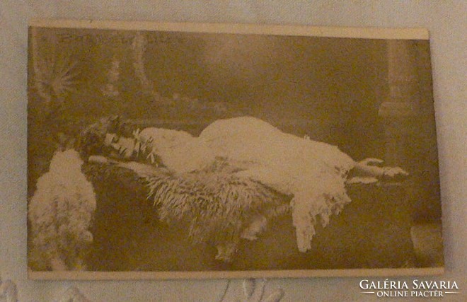 Barber lilly actress dedicated postcard