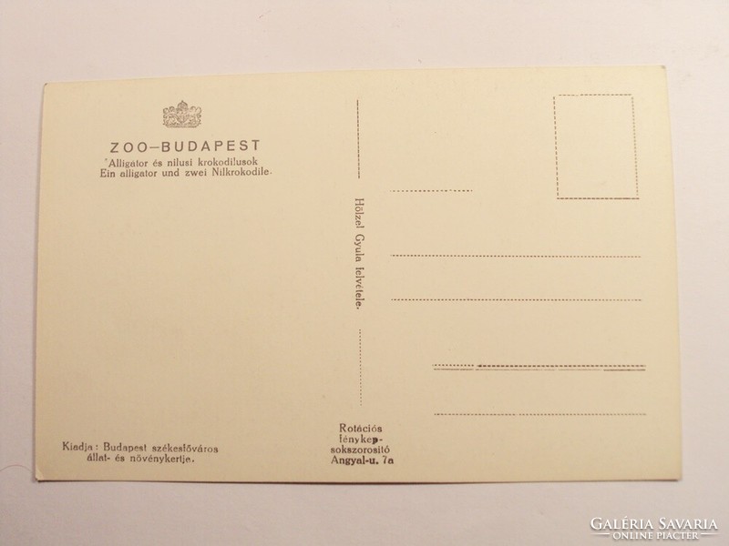 Old postcard postcard - alligator and Nile crocodiles - published by Székesfóváros Zoo
