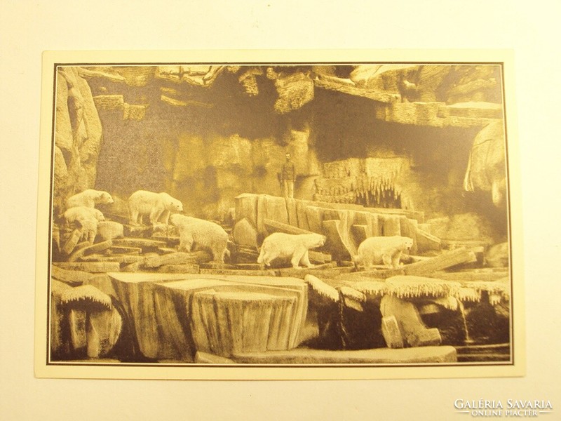 Régi képeslap levelezőlap - A jegesmedvék barlangjában - Székesfővárosi Állatkert kiadása