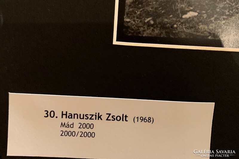 Hanuszik Zsolt "Mád, 2000" fekete-fehér fotó