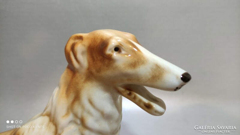 Royal Dux  Bohémia Borzoi orosz agár nagy méretű jelzett porcelán kutya szobor 31 cm hosszú