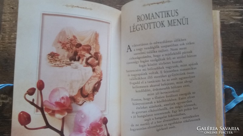 Max de Roche  A szerelem étkei   meseszép kiállítású könyv