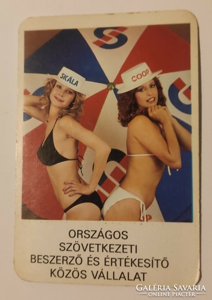 Scale card calendar 1981
