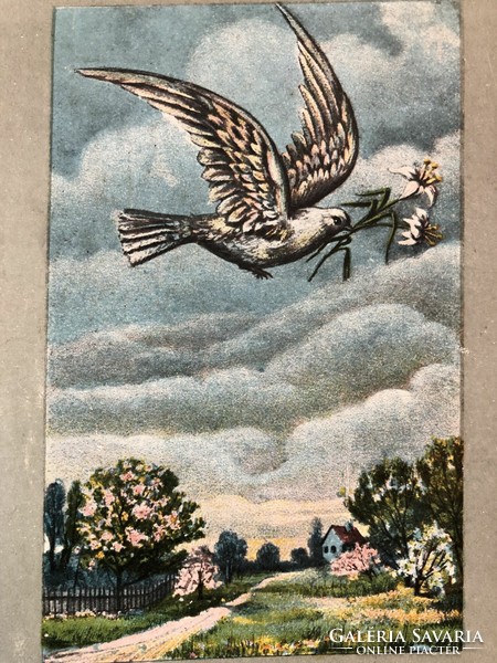 Antique long address romantic postcard - 1904, pigeon, verse -3.