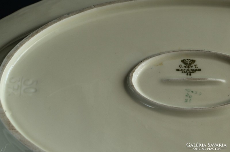 Antique German porcelain tableware tielsch-altwasser germany