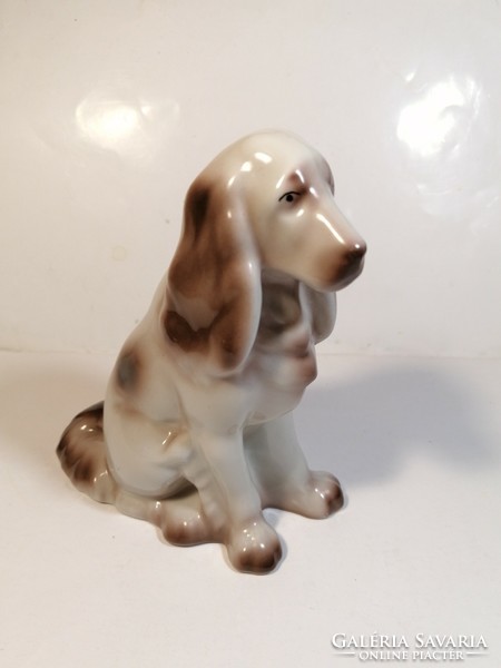 Ravenclaw porcelain dog, spaniel (894)