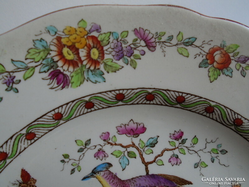 COPELAND SPODE 1907 kézi festésű antik, angol tányérok.