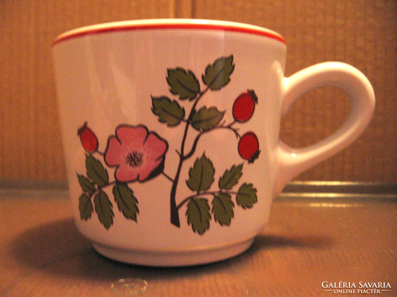 Mug with rose hips, wild rose, waechtersbach, Germany