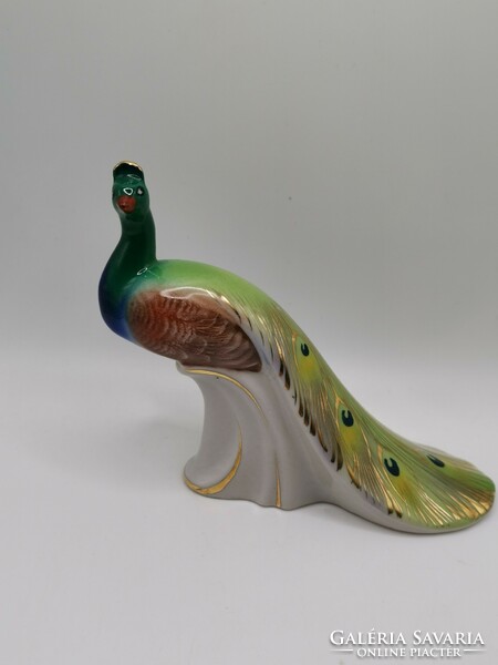 Drasche peacock