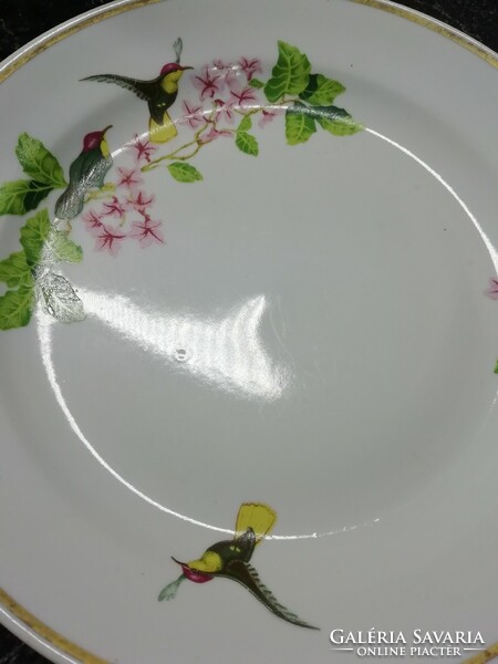 Zsolnay porcelain, hummingbird flat plate. Its size is 24 cm. In beautiful, beautiful condition. Indicated.