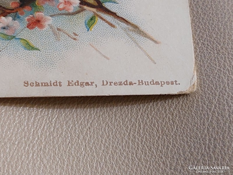 Régi képeslap 1899 levelezőlap kismadarak madárodú
