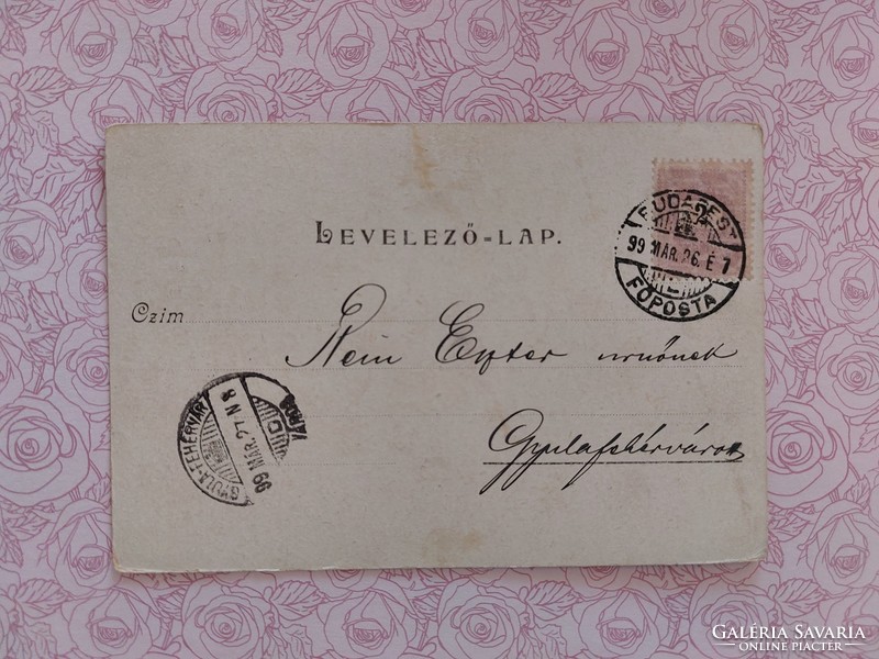 Régi képeslap 1899 levelezőlap kismadarak madárodú