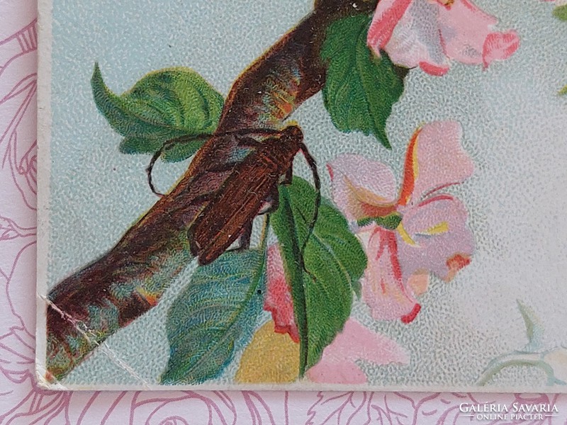 Régi képeslap levelezőlap bogarak cseresznyevirág méhecske