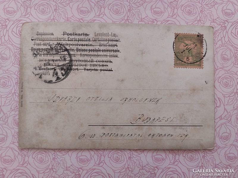 Régi képeslap 1904 művészeti levelezőlap gyümölcs csendélet szilva körte