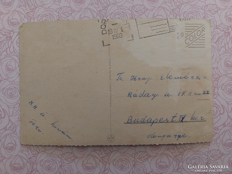 Régi virágos képeslap 1960 levelezőlap szegfű
