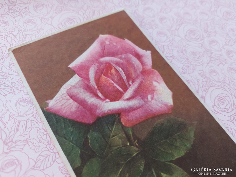 Régi virágos képeslap 1950 levelezőlap rózsa