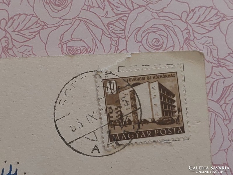 Régi virágos képeslap levelezőlap vadrózsa
