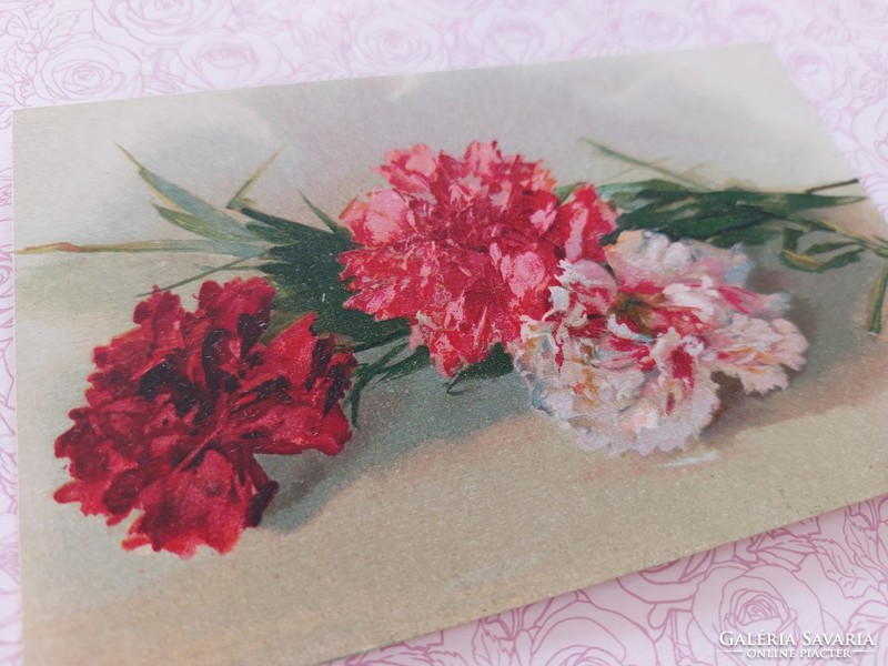 Régi virágos képeslap levelezőlap szegfű