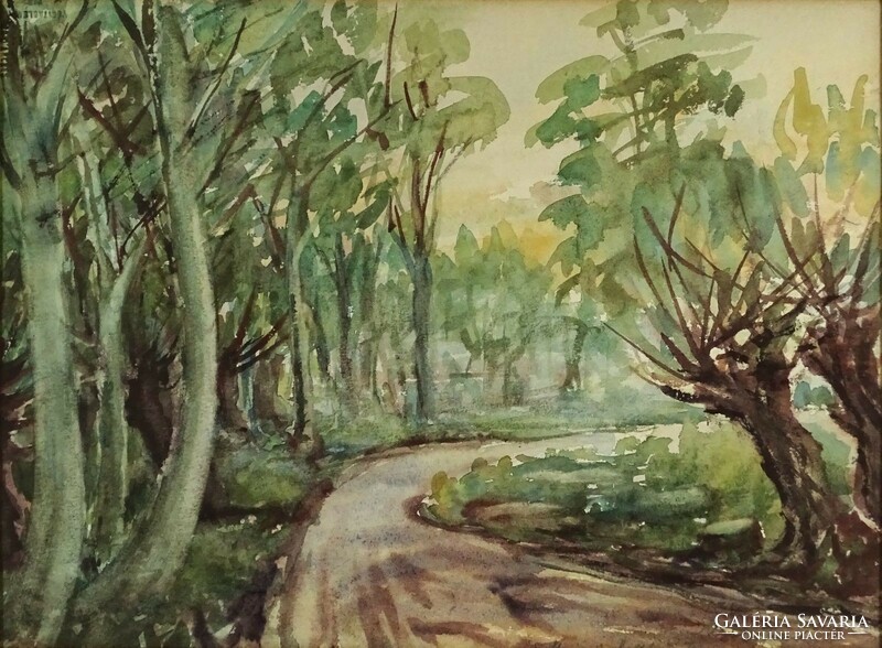 1L992 xx. Century painter: forest road