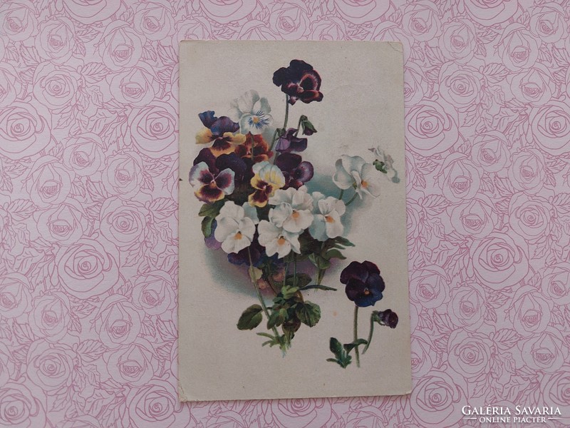 Régi virágos képeslap 1920 levelezőlap árvácska