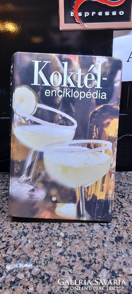 Rare!! Cocktail encyclopedia