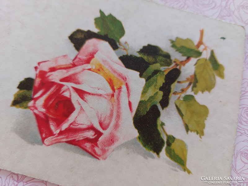Régi virágos képeslap 1934 levelezőlap rózsa