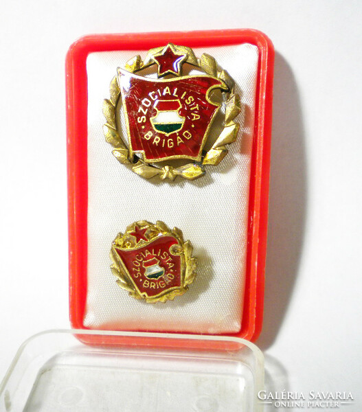 R462 socialist brigade gold grade medal socialist badge