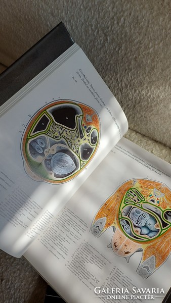 Ritka anatómia könyvek Peter Popesko képes albumalbum, I.-II.- III.- kötet, színes rajzok
